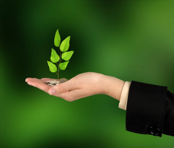 Investing to green business